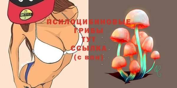 mdpv Гусиноозёрск