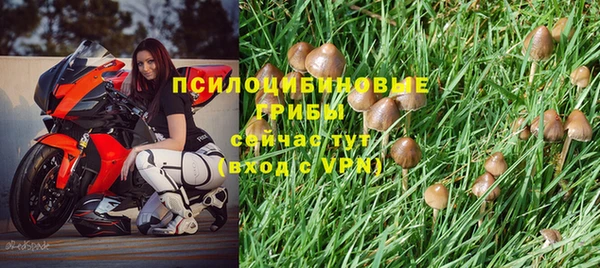 кокс Горняк
