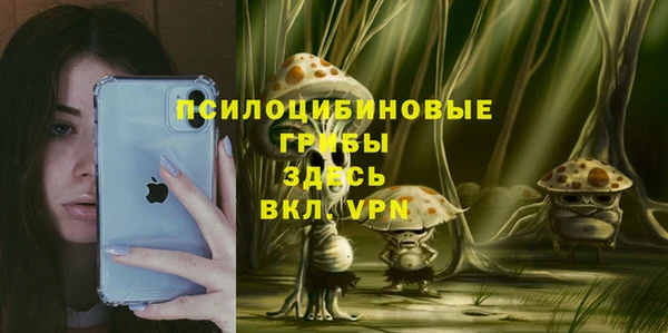 спиды Горно-Алтайск