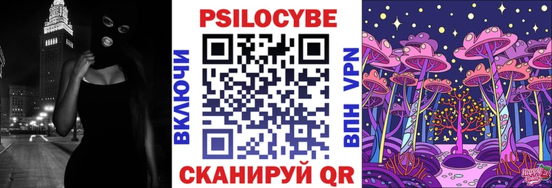 Галлюциногенные грибы Psilocybine cubensis  Керчь 